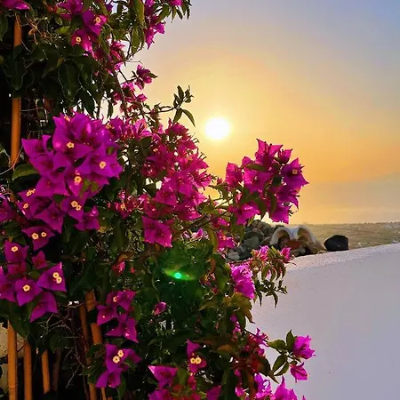 Kastelli88 Santorini *